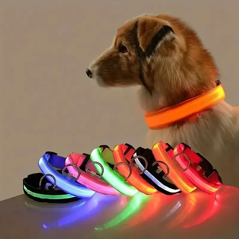 Bright LED Collar Leash, LED Dog Collar Leash, Reflective LED Dog Leash, USB Rechargeable LED Dog Collar Leash
