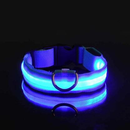 Bright LED Collar Leash, LED Dog Collar Leash, Reflective LED Dog Leash, USB Rechargeable LED Dog Collar Leash