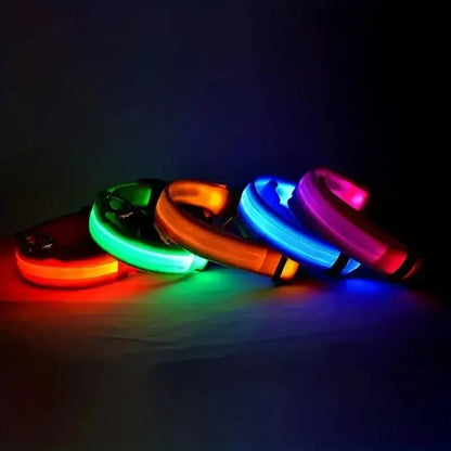 Bright LED Collar Leash, LED Dog Collar Leash, Reflective LED Dog Leash, USB Rechargeable LED Dog Collar Leash