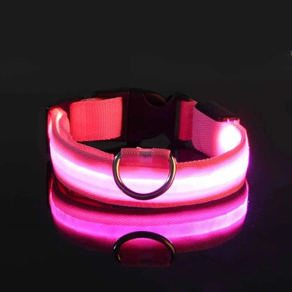 Bright LED Collar Leash, LED Dog Collar Leash, Reflective LED Dog Leash, USB Rechargeable LED Dog Collar Leash