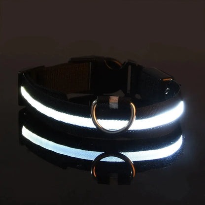 Bright LED Collar Leash, LED Dog Collar Leash, Reflective LED Dog Leash, USB Rechargeable LED Dog Collar Leash