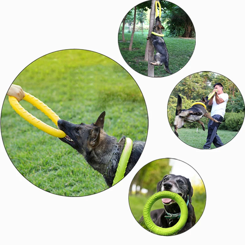 Rugged Chewer Fetch Disk, Durable Dog Fetch Frisbee, Tough Chewer Flying Disc, Heavy Duty Dog Frisbee Toy.
