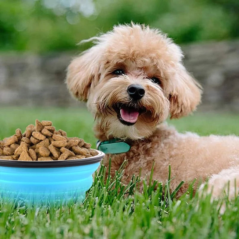 Portable Collapsible Pet Bowl, Collapsible Travel Pet Bowl, Portable Silicone Pet Food Bowl, Foldable Pet Water Bowl.