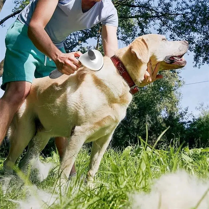 Self-Cleaning Pet Grooming Brush, Automatic Self Cleaning Pet Brush, Easy Clean Pet Grooming Brush, Self Cleaning Dog Brush Tool.