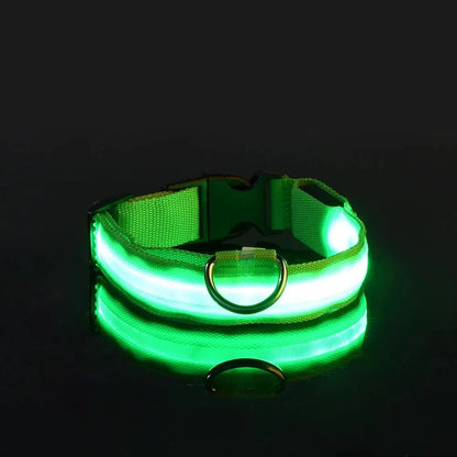 Bright LED Collar Leash, LED Dog Collar Leash, Reflective LED Dog Leash, USB Rechargeable LED Dog Collar Leash