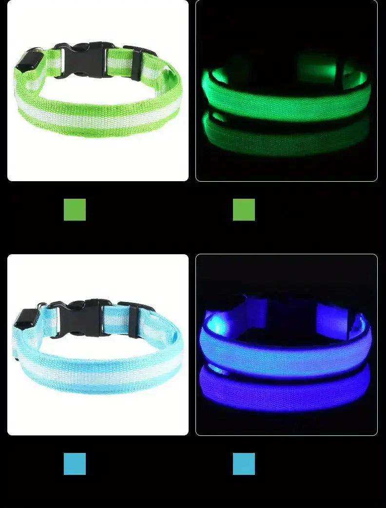 Bright LED Collar Leash, LED Dog Collar Leash, Reflective LED Dog Leash, USB Rechargeable LED Dog Collar Leash