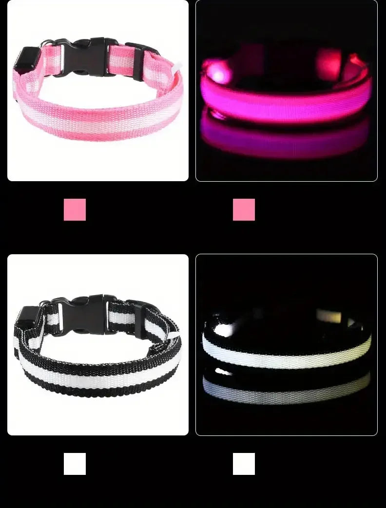 Bright LED Collar Leash, LED Dog Collar Leash, Reflective LED Dog Leash, USB Rechargeable LED Dog Collar Leash