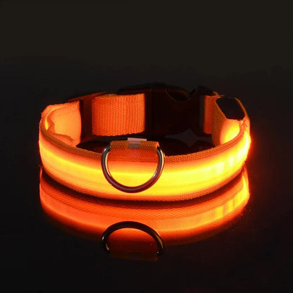 Bright LED Collar Leash, LED Dog Collar Leash, Reflective LED Dog Leash, USB Rechargeable LED Dog Collar Leash