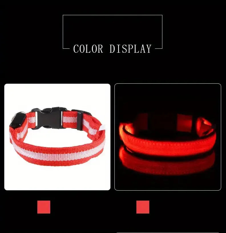 Bright LED Collar Leash, LED Dog Collar Leash, Reflective LED Dog Leash, USB Rechargeable LED Dog Collar Leash