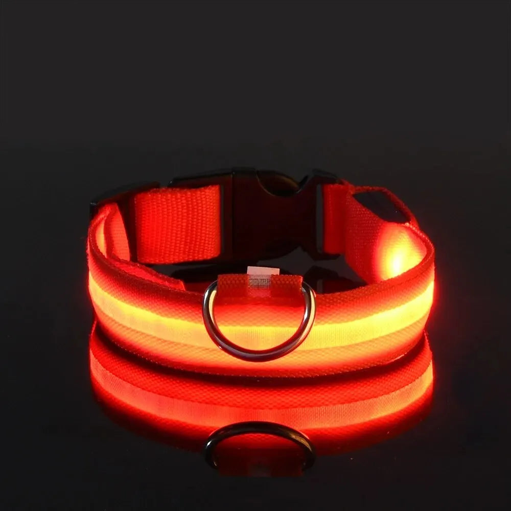 Bright LED Collar Leash, LED Dog Collar Leash, Reflective LED Dog Leash, USB Rechargeable LED Dog Collar Leash