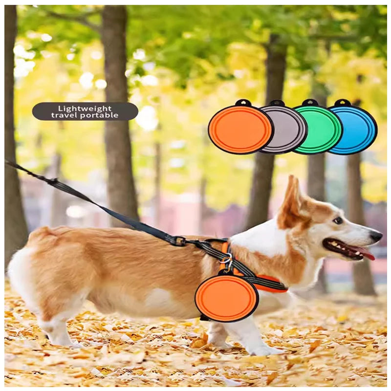 Portable Collapsible Pet Bowl, Collapsible Travel Pet Bowl, Portable Silicone Pet Food Bowl, Foldable Pet Water Bowl.